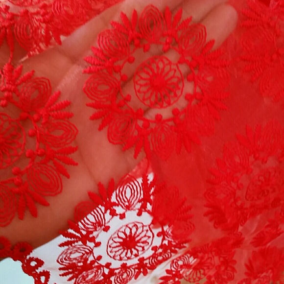 COPY - Zara Fantasy Lace Dress - Picture 3 of 4